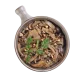 Sauteed Mushroom